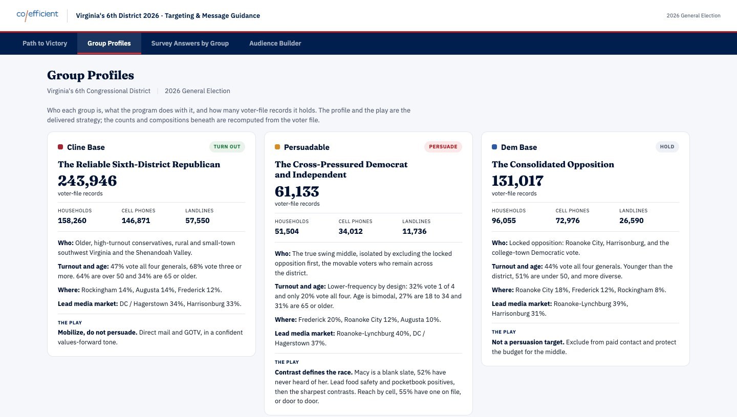 Group Profiles: three modeled groups with voter counts, who they are, and the recommended play
